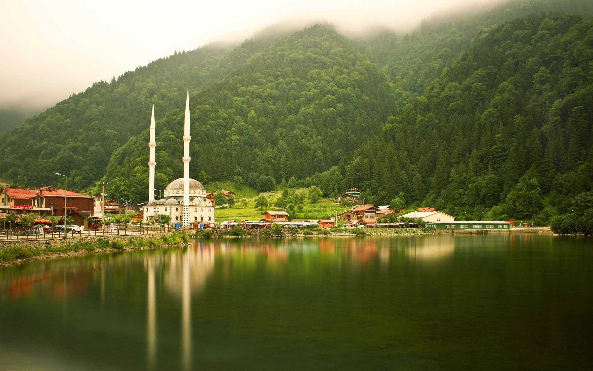 Şehir